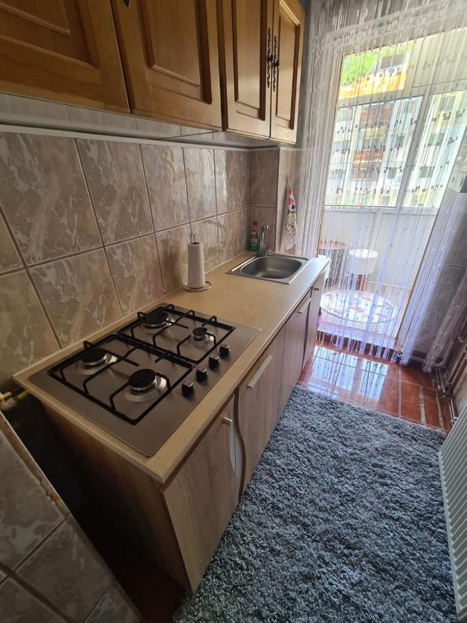 Garsoniera Slanic-Moldova Apartman Kültér fotó